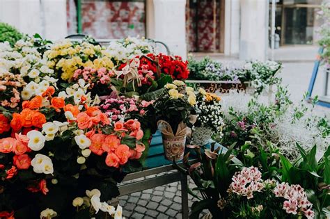 Variety of flowers at a market. | Free Photo - rawpixel