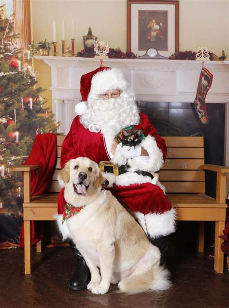 Santa Paws is Coming! - Joint Animal Services