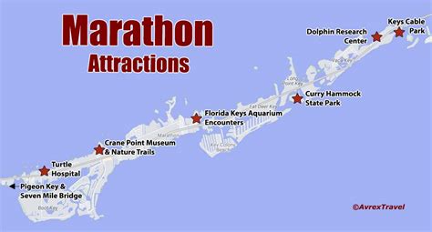 8 Best Things To Do in Marathon Florida - Avrex Travel