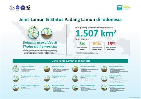 Lamun dan Dugong untuk Bahari yang Lebih Lestari – Denai Ghozaliq