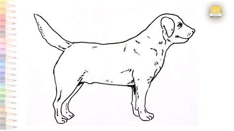 Dog outline sketch | How to draw Dog drawing tutorials step by step | Animals drawing tutorials ...