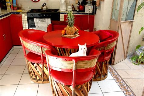 White elvish cat at the traditional Mexican leather kitchen table and chairs, in red ...