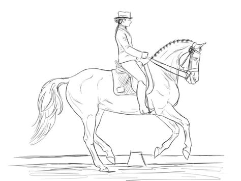 Dressage Horse Coloring Pages Sketch Template | Hayvan, Çizim ...