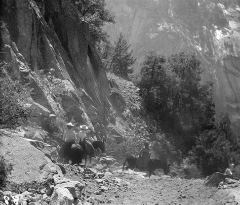 Yosemite National Park, C1905 Photograph by Granger