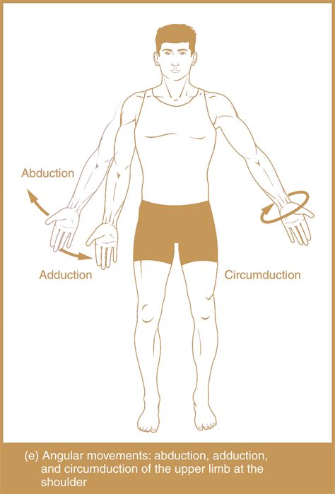 Types of Body Movements - Michael Loehr