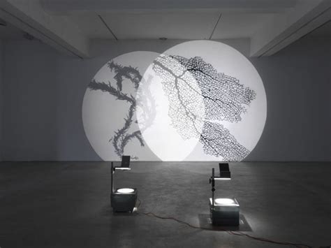 overhead projector art | Art projector, Projection installation, Light ...