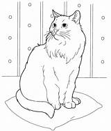 Easy Cat Face Coloring Pages sketch template