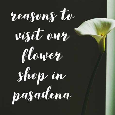 Reasons To Visit A Flower Shop In Pasadena TX - Enchanted Florist Pasadena