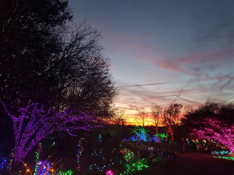 Meadowlark Botanical Gardens: Winter Walk of Lights! | Scrolller