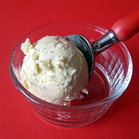 Delicious Delicious Delicious: Tonka Bean Ice-Cream