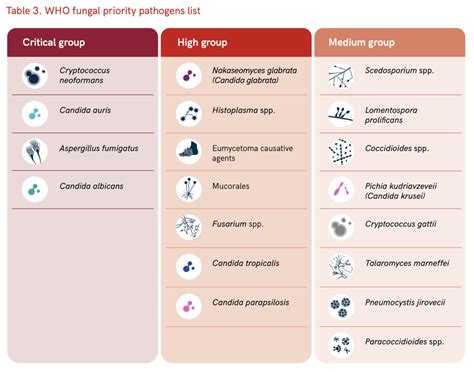 WHO fungal priority pathogens list - SFMM