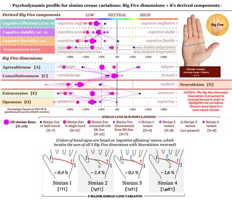 Psychodynamic profiles for Simian Line variations: low 'General Factor of Personality'! | Big ...