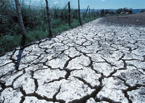 Salt: a threat to the planet’s agricultural land