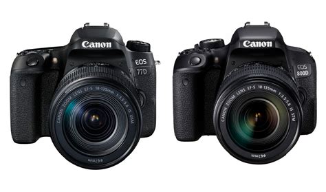 Canon EOS 77D review: Hands on first look - Amateur Photographer