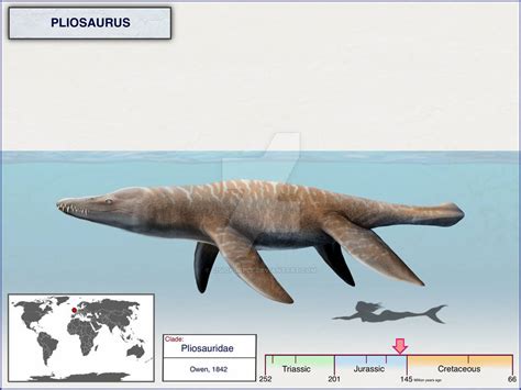 Pliosaurus by cisiopurple on DeviantArt