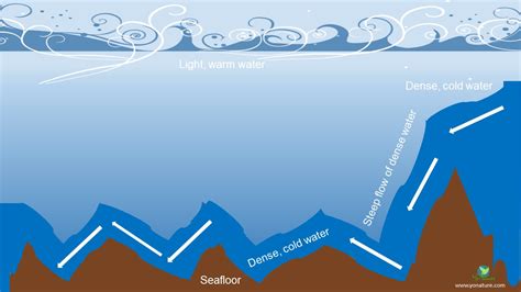 Underwater waterfall of Mauritius Explained - Yo Nature