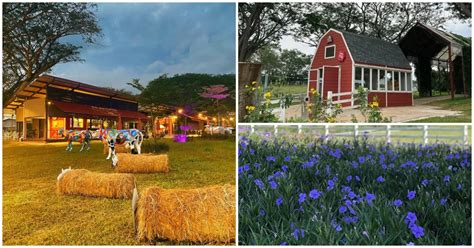 7 Things You Must Do At Farm Fresh UPM