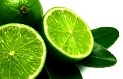 Lime Benefits in Health | Herbal Medicine and Nutrition