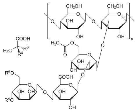 Structure of the xanthan gum molecule. | Download Scientific Diagram