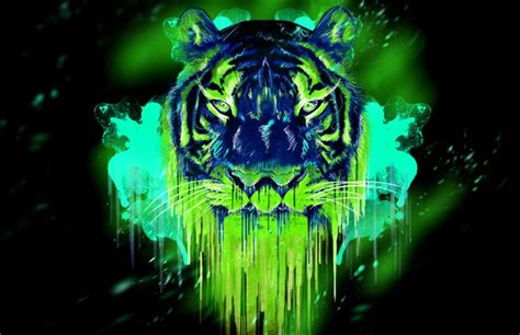 Wallpaper 4K Tiger Gallery