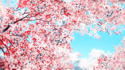 Spring Aesthetic, Aesthetic Gif, Forest Wallpaper, Scenery Wallpaper ...