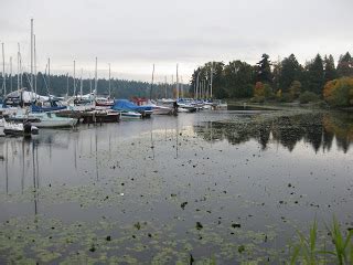 Lakewood Moorage | Year of Seattle Parks