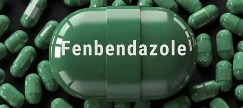 Emerging Research on Fenbendazole and Artemisinin for Cancer