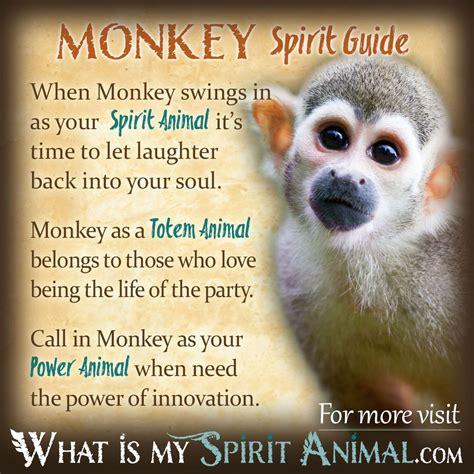 Monkey Symbolism & Meaning | Spirit, Totem & Power Animal (2022)