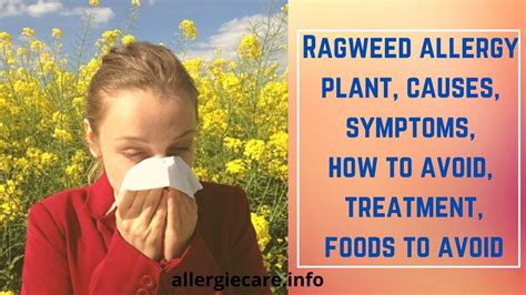 Ragweed Allergy Season 2025 - Diane Underwood