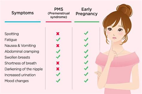 Pregnancy Cramping 5 Weeks : 5 Weeks Pregnant Symptoms Tips And More ...