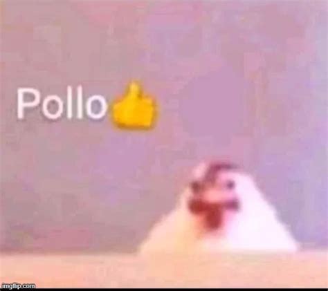 Pollo - Imgflip