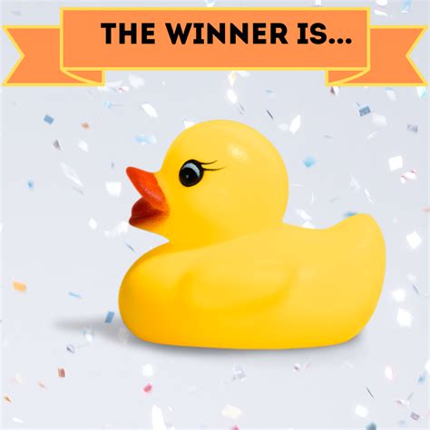 2019 Rubber Ducky Race Winners | Rotary Club of Northbrook