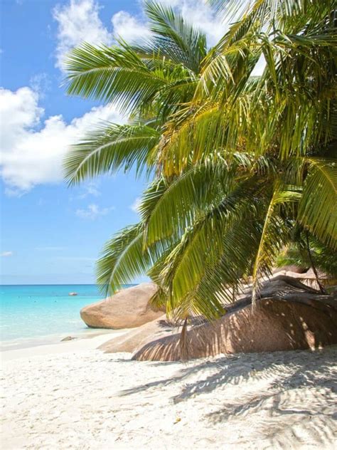 The Best Beaches in The Seychelles — The Discoveries Of