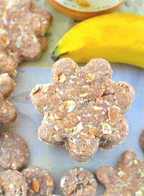 Peanut Butter Oatmeal Banana Dog Treats - The Cozy Cook