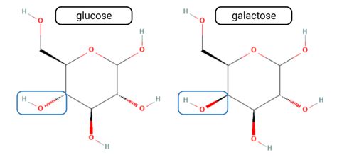 Structural difference between glucose and galactose. | Download Scientific Diagram