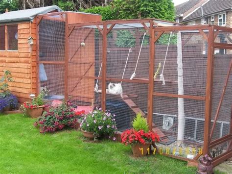 Cat enclosures - Pet Forums Community | Outdoor cat enclosure, Outdoor cats, Cat area