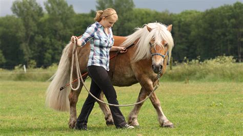 Natural horsemanship: what is it and how to get started | Horse & Hound