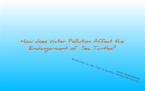 How does Water Pollution Affect the Endangerment of Sea Turtles? by shante murphy