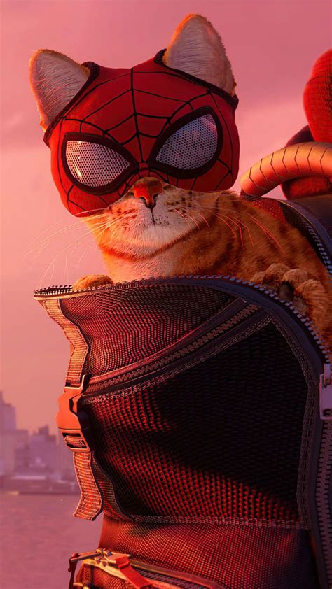 Wallpaper HD Spider-cat Spider-man Miles Morales 2021 Game - HD Wallpaper