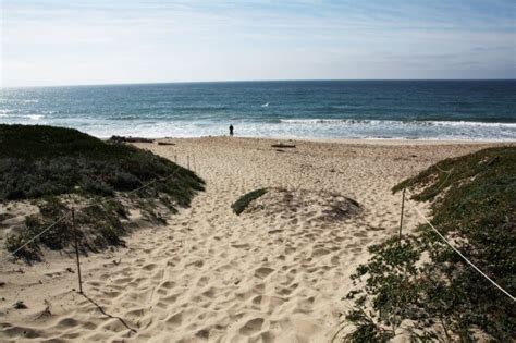 Salinas River State Beach – Monterey Dunes Entrance in Moss Landing, CA ...