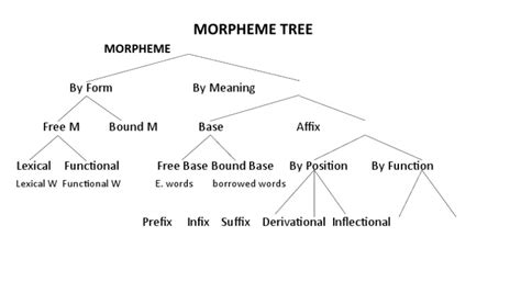 Morpheme Tree | PDF