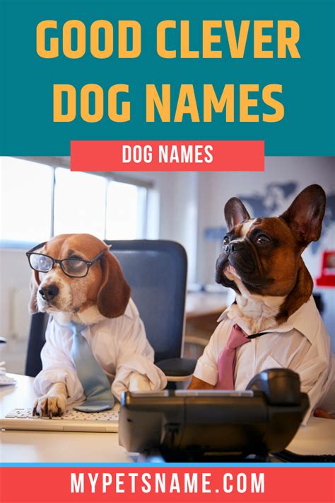 Good Clever Dog Names | Clever dog names, Dog names, Dog brain