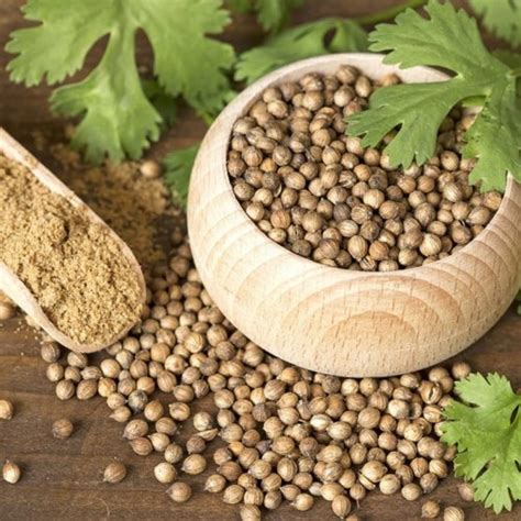 Jual Premium Coriander Seeds | Biji Ketumbar Premium | Product of India ...