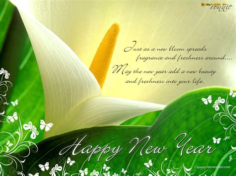 2013 New Year Wishes Wallpapers and sms...