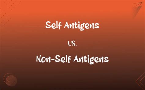 Self Antigens vs. Non-Self Antigens: What’s the Difference?