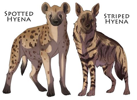 Hyenas Artwork by DawnFrost | Striped Hyena, Canine Art