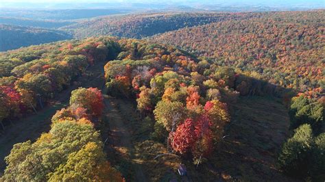 Laurel Mountain State Park - Pennsylvania - Tripcarta