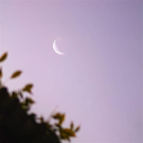 i watch the moon - YouTube Music