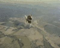 Best skydiving GIFs - Primo GIF - Latest Animated GIFs