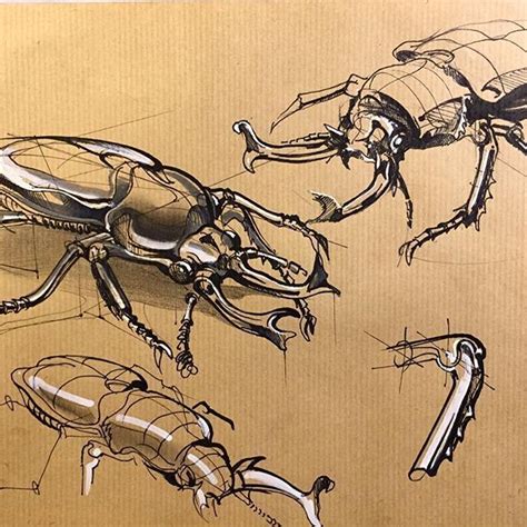 Trying out the ribbed kraft paper for quick gestural bug sketches. The key to drawing animals is ...